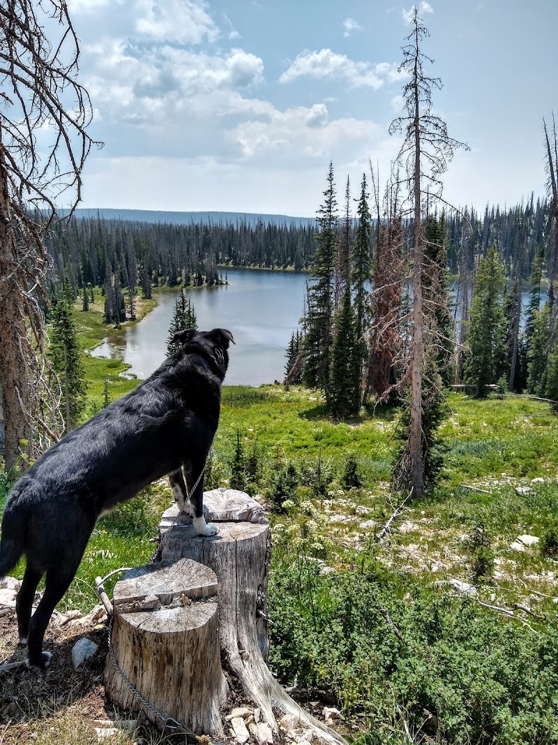Silver Lake Campground (WY)（怀俄明州）