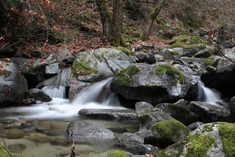 CRYSTAL CREEK PRIMITIVE CAMPGROUND（加利福尼亚州）