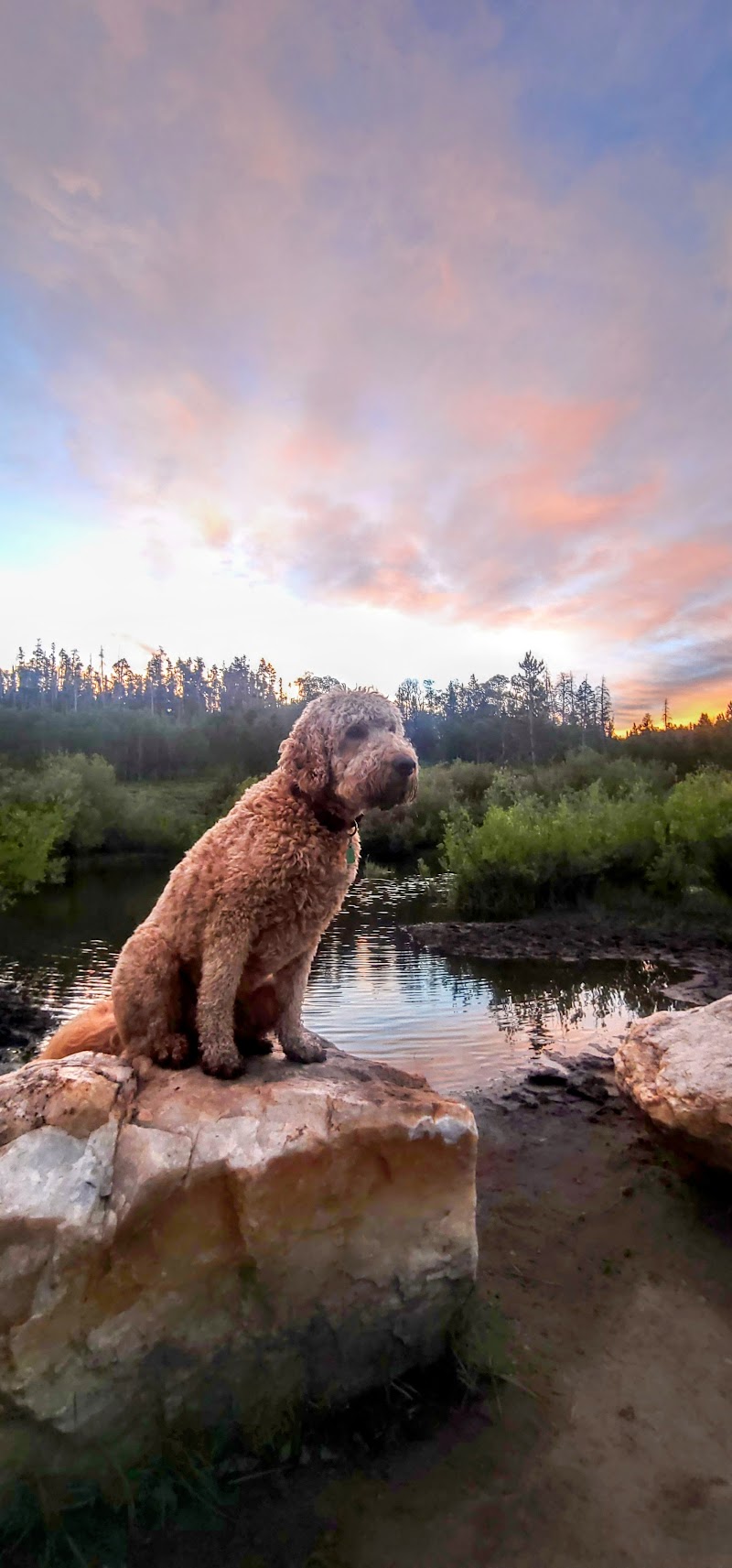 Jack Creek Campground (WY)（怀俄明州）