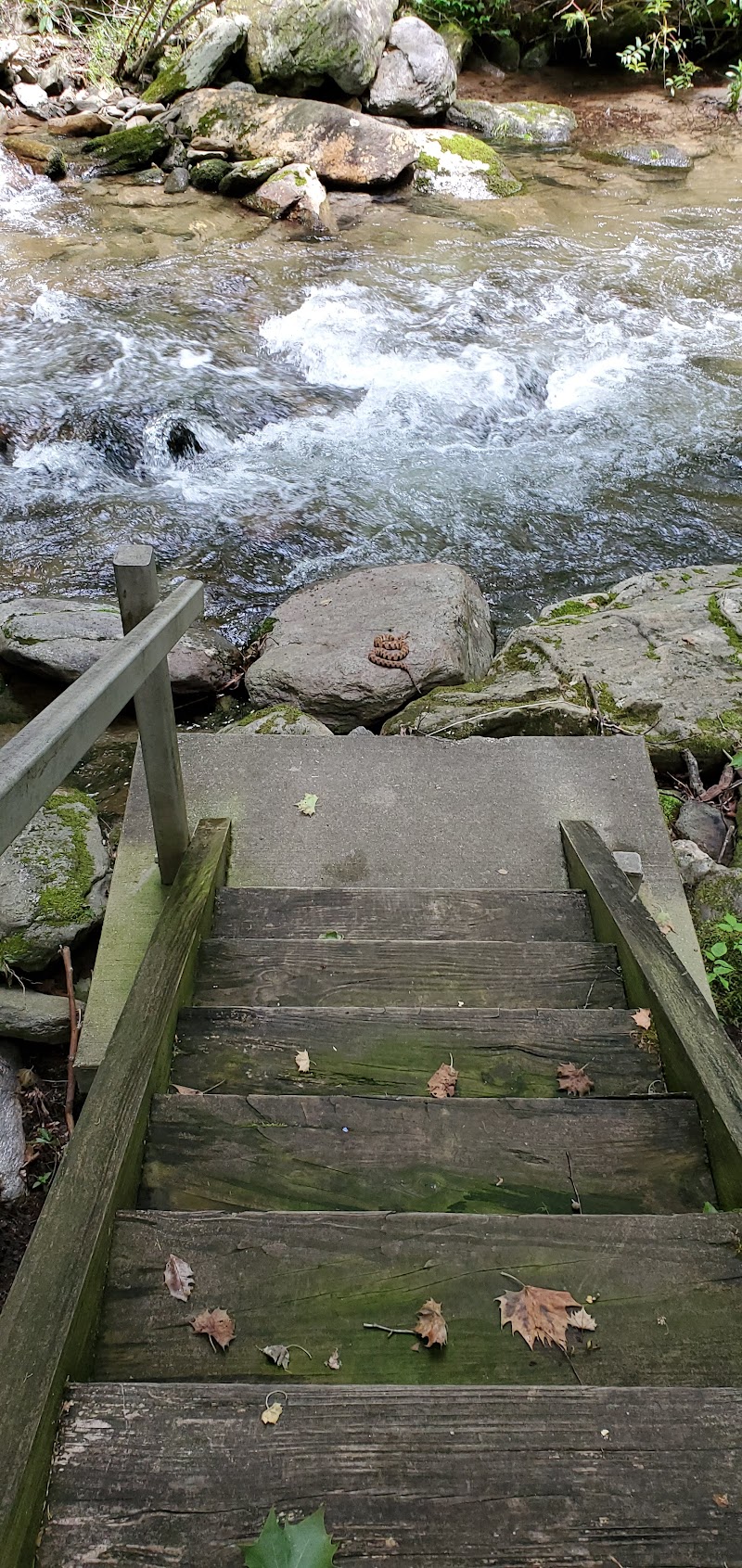 CURTIS CREEK CAMPGROUND (NC)（北卡罗来纳州）