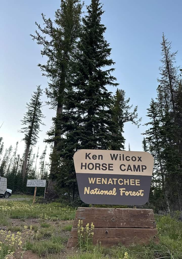 Ken Wilcox