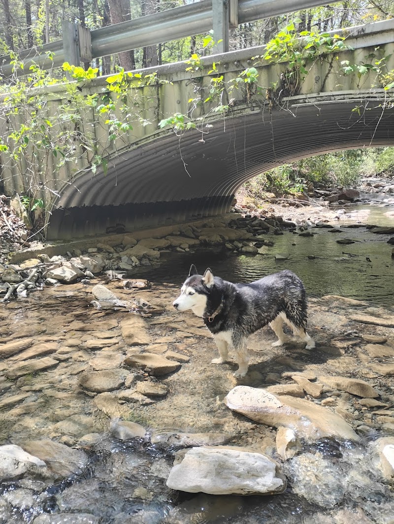 Rock Creek Campground (TN)（田纳西州）