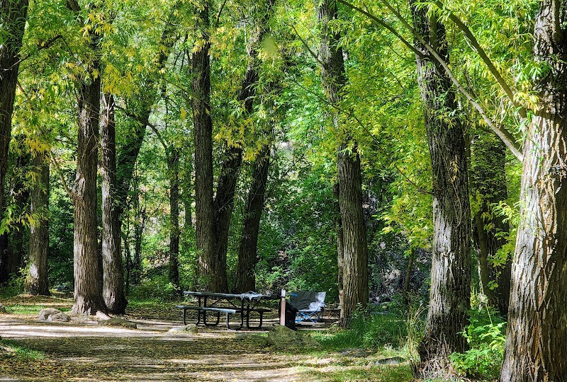 Wood Camp Campground (UT)（犹他州）