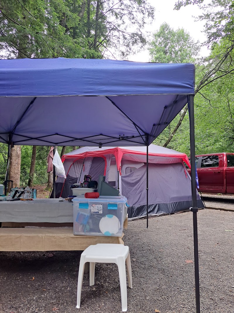 Sandy Bottoms Recreation Area Campground  (Clayton, GA)（佐治亚州）