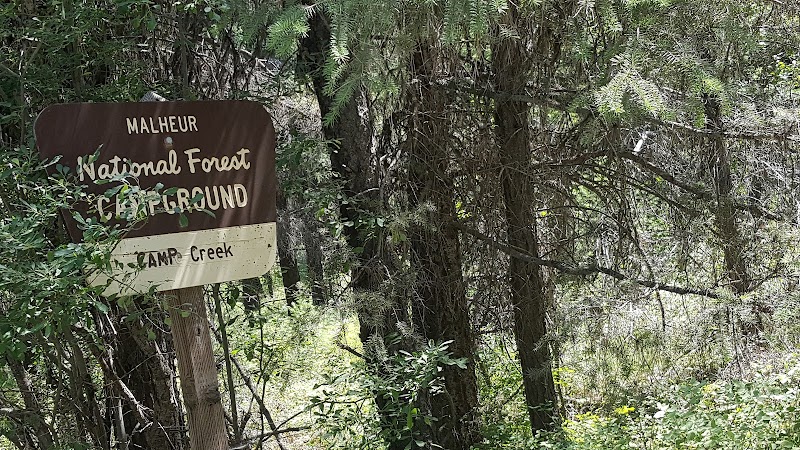 Lower Camp Creek Campground（俄勒冈州）