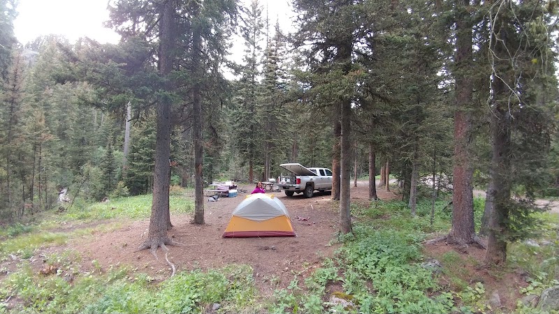 Bear Creek Campground - MT（蒙大拿州）