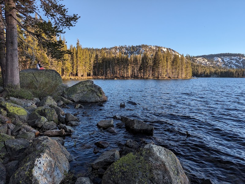 Gold Lake Campground (OR)