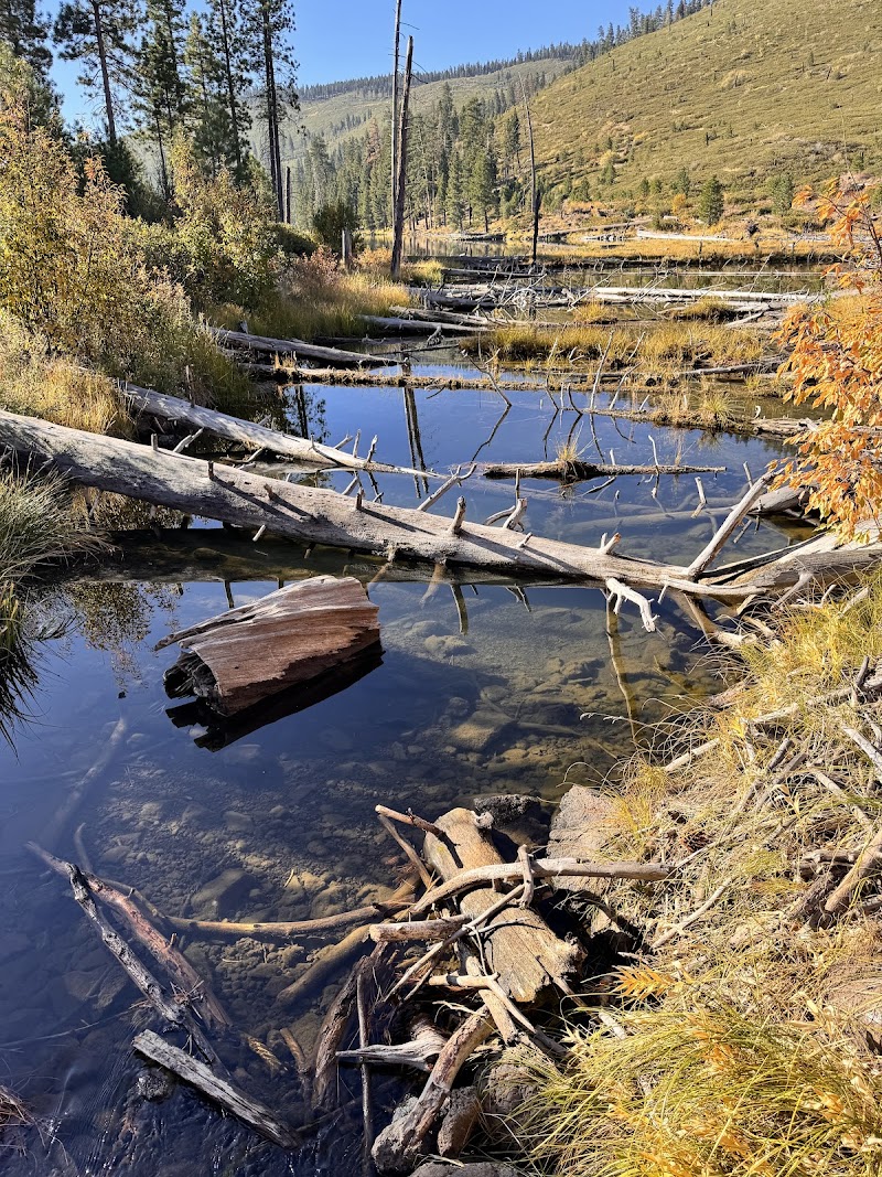 Blue Lake Campground Group Site - Modoc NF (CA)（加利福尼亚州）