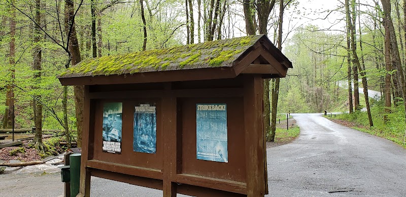 Andrew's Cove Campground（佐治亚州）