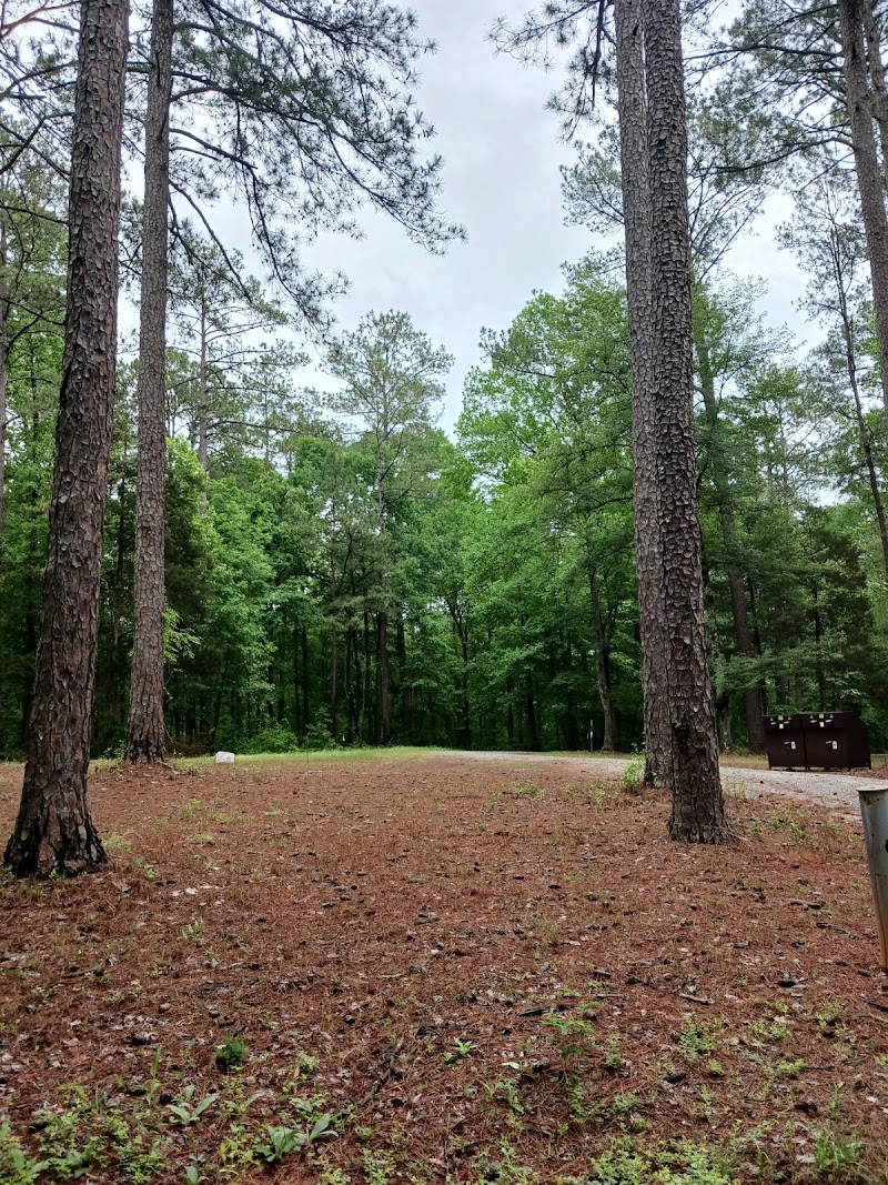 Collins Creek Seasonal Campground (SC)（南卡罗来纳州）