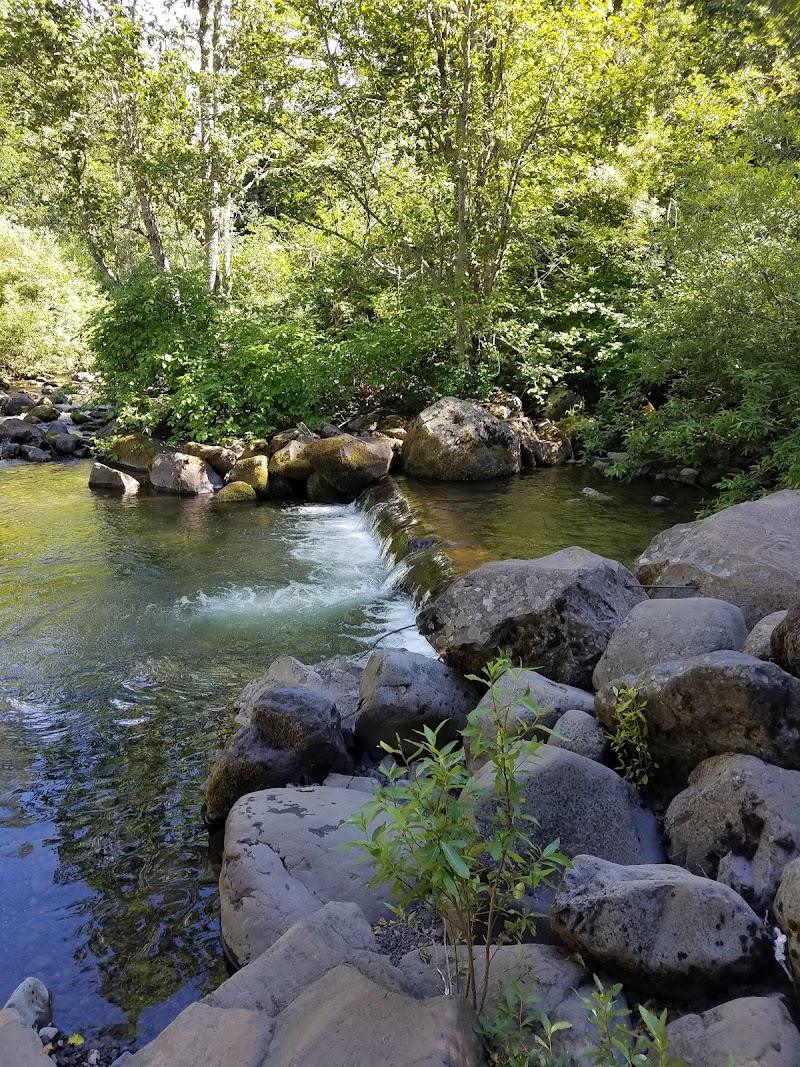 South Fork Campground (Wallowa-Whitman)（俄勒冈州）