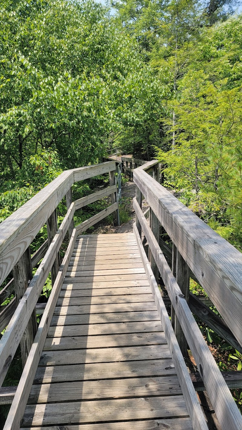 BACKBONE ROCK CAMPGROUND（田纳西州）