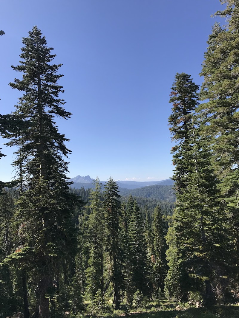 FIR TOP CAMPGROUND（加利福尼亚州）