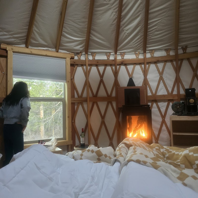 KIT CARSON CAMPGROUND（加利福尼亚州）