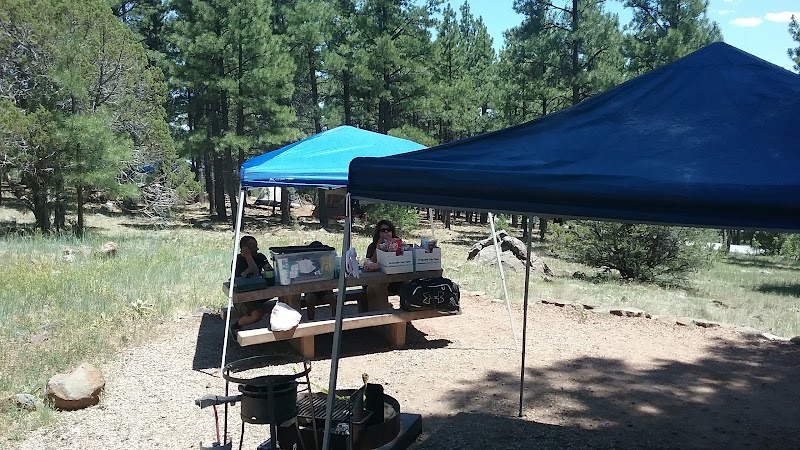 Lakeview Campground (AZ)（亚利桑那州）