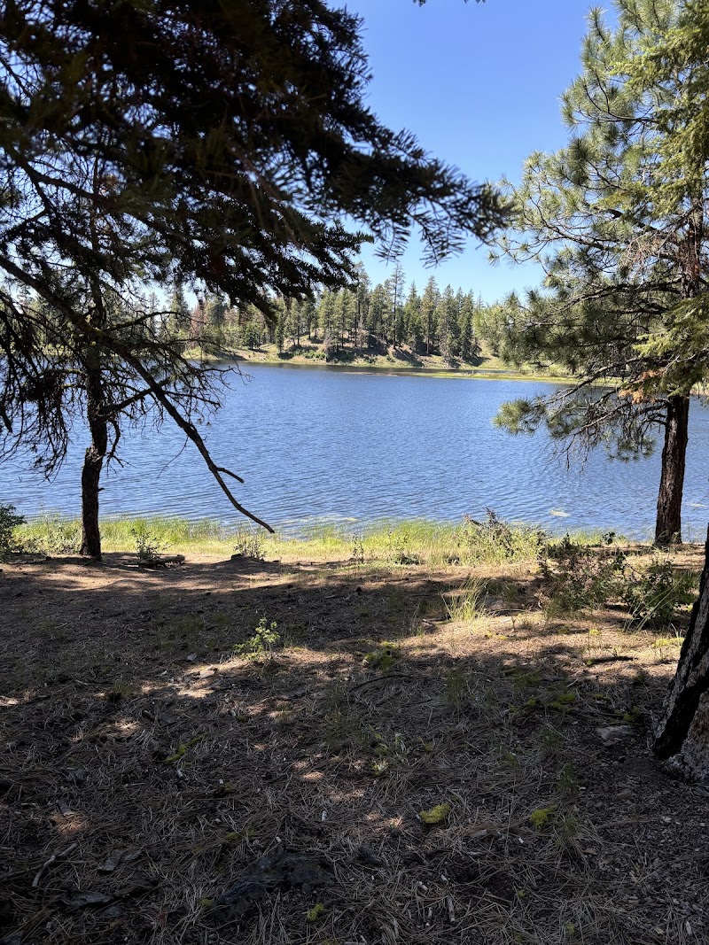Lofton Reservoir Campground（俄勒冈州）
