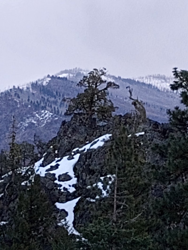 Parish Cabin Campground（俄勒冈州）