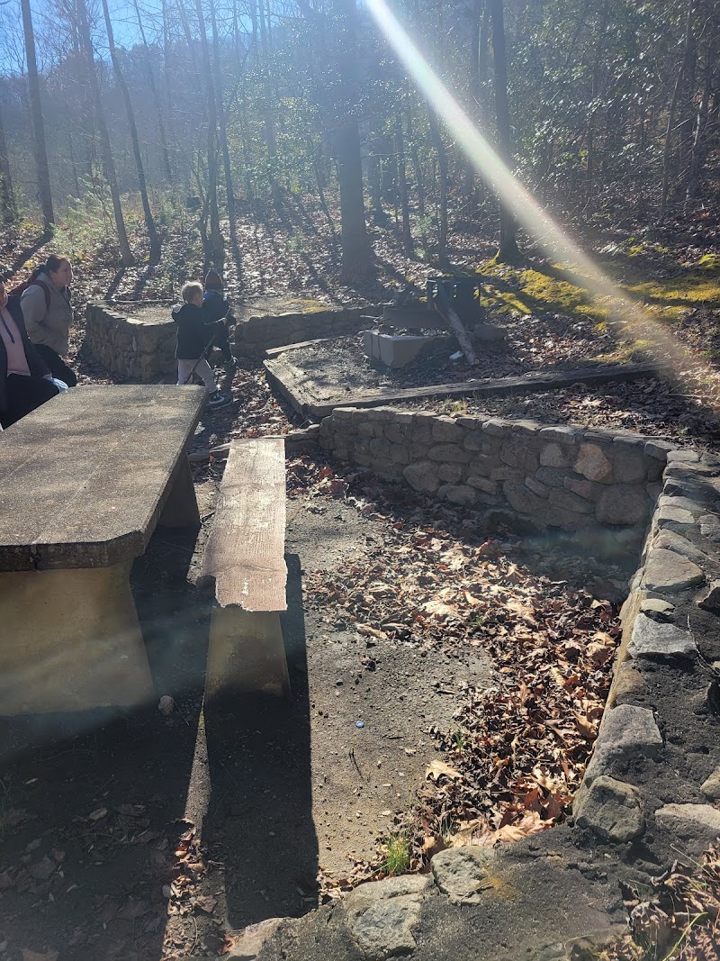 Rocky Bluff Campground（北卡罗来纳州）