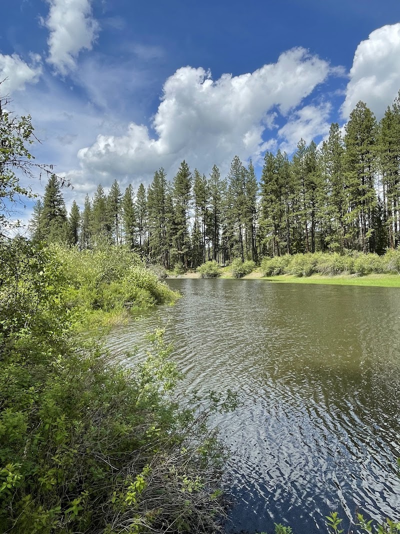 Skookum Creek Campground