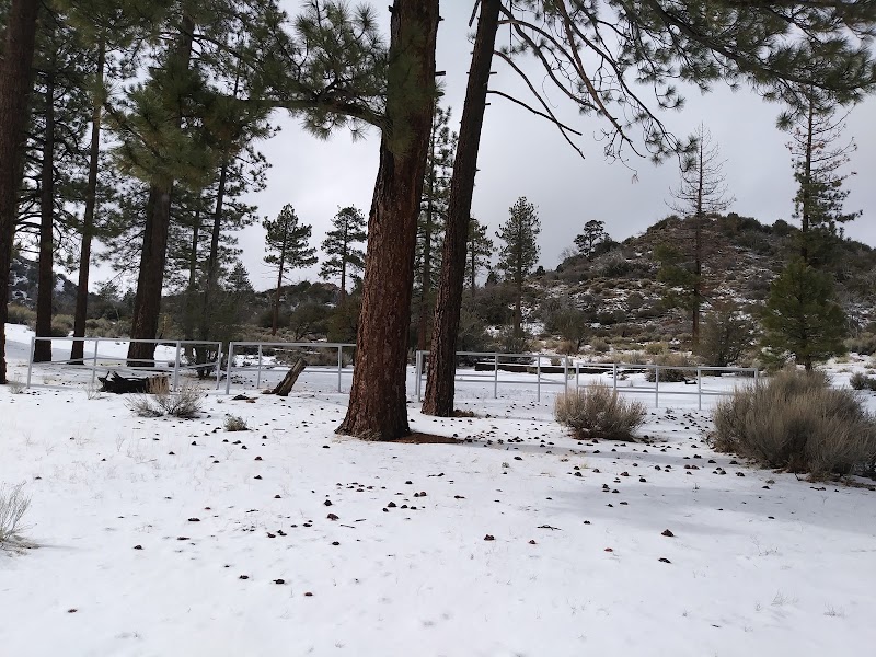 Big Pine Equestrian Group Campground（加利福尼亚州）