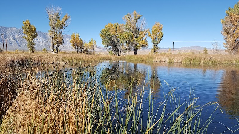 Millpond Recreation Site（俄勒冈州）