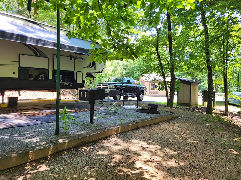 Woodring Branch Primitive Campground（佐治亚州）