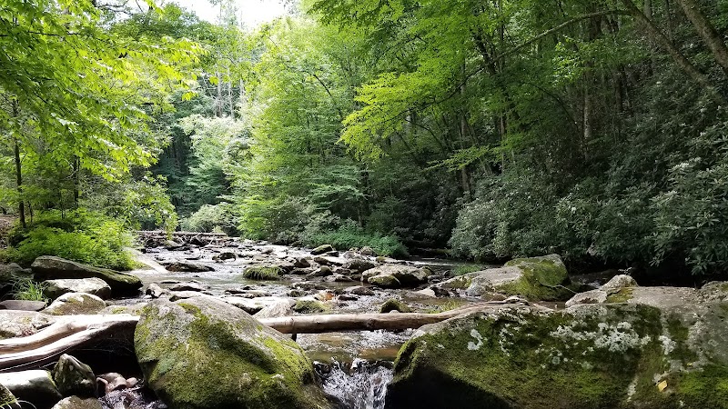 Big Oak Cove Campground