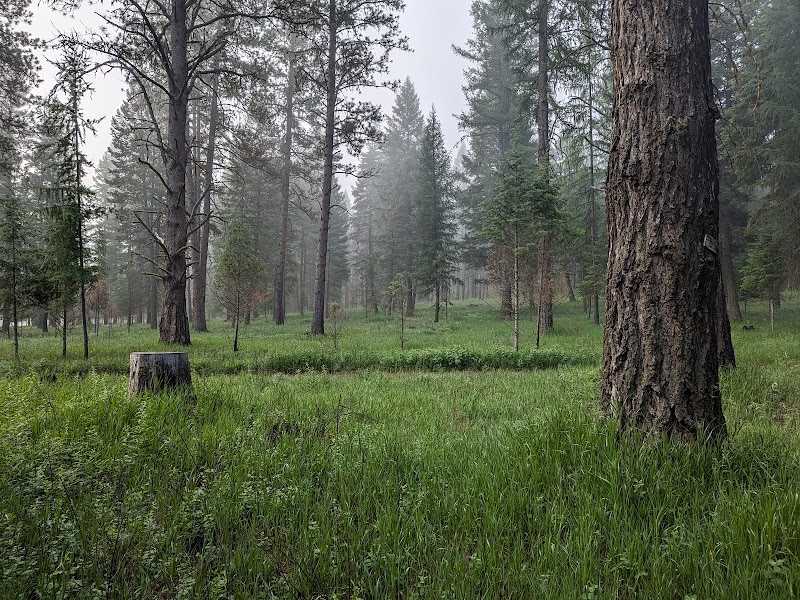Bird Track Springs Campground（俄勒冈州）