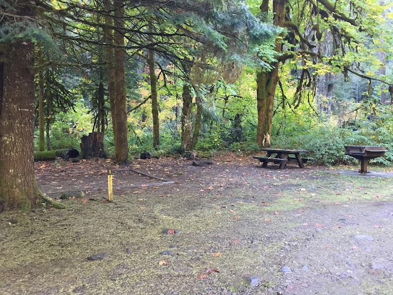 Government Mineral Springs Campground（华盛顿州）