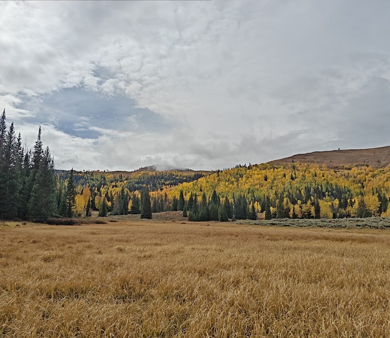 MILLER FLAT RESERVOIR CAMPGROUND（犹他州）