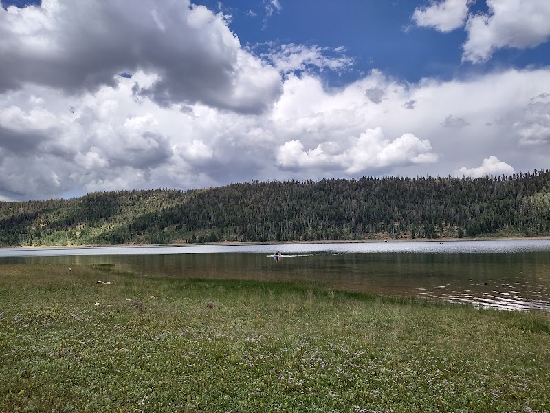 SPRUCES CAMPGROUND (DIXIE NF)（犹他州）