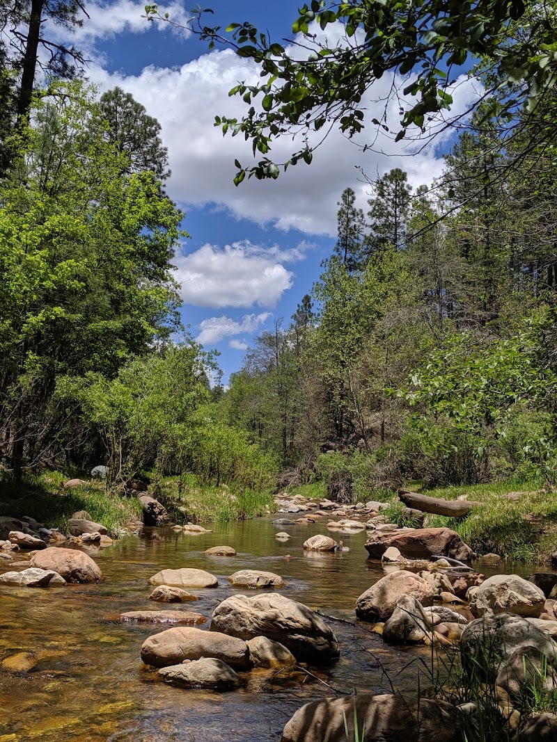 Lower Tonto Creek