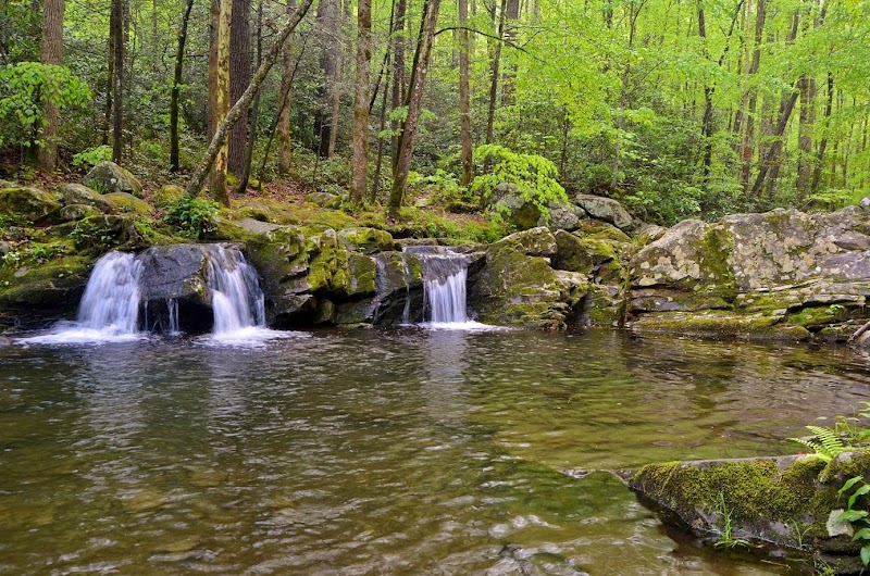 BIG CREEK CAMPGROUND (GREAT SMOKY MOUNTAINS NATIONAL PARK)（田纳西州）