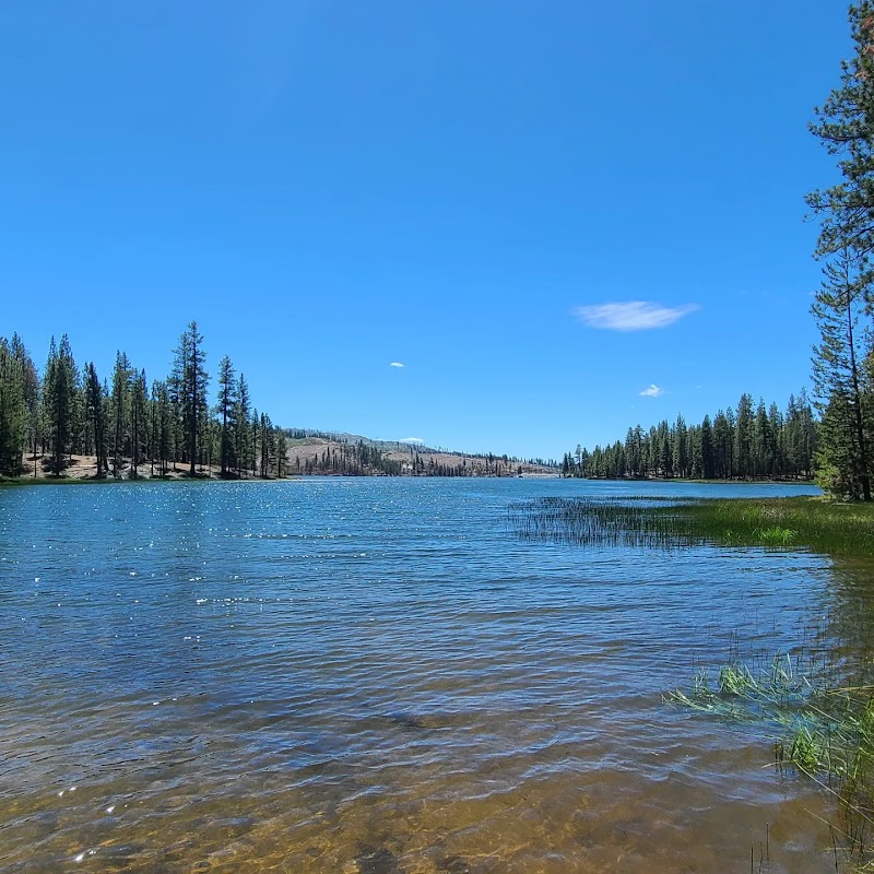 BOULDER CREEK (CA)（加利福尼亚州）