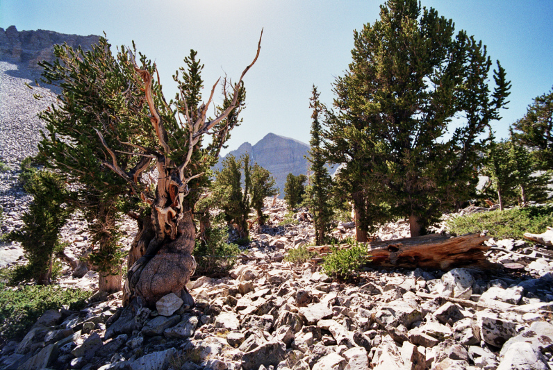 HIGHLAND RIDGE