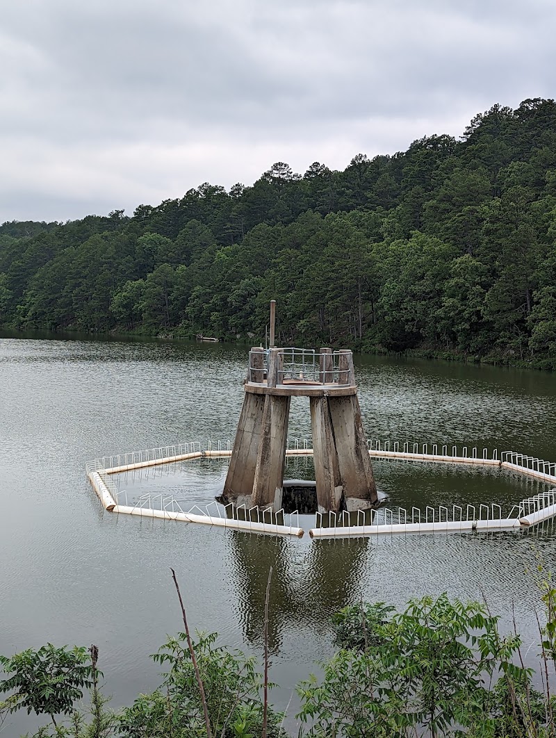 CEDAR LAKE (OKLAHOMA)