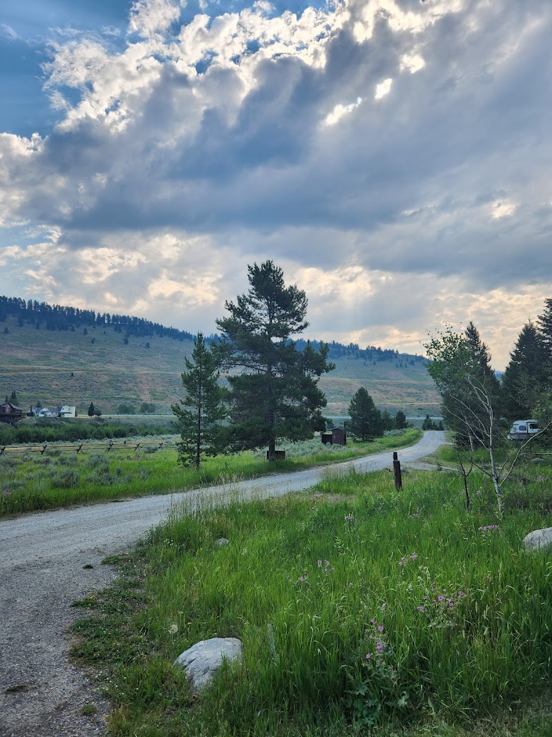 Madison River (MT)（蒙大拿州）