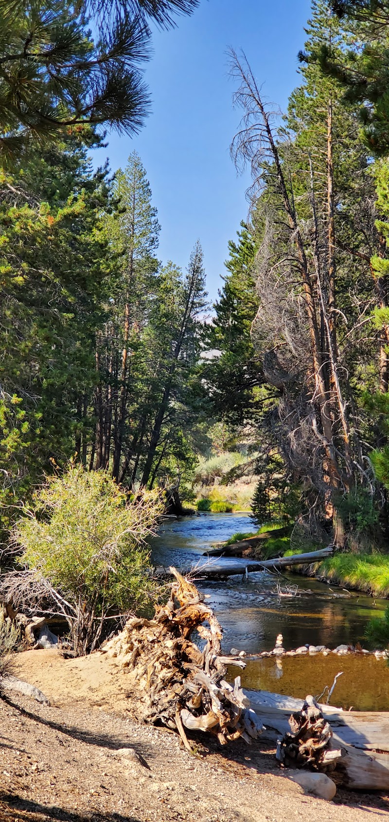ROBINSON CREEK SOUTH（加利福尼亚州）