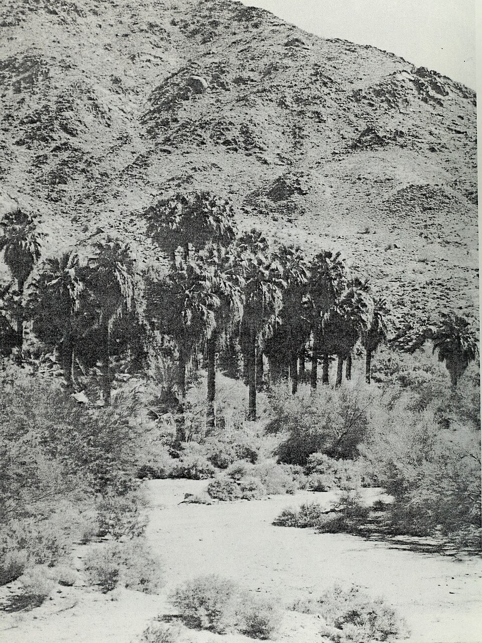 Corn Springs Campground