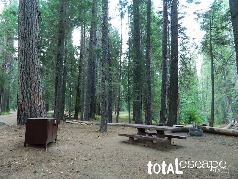 Deanes Valley Family Cg (CA) Plumas Nf