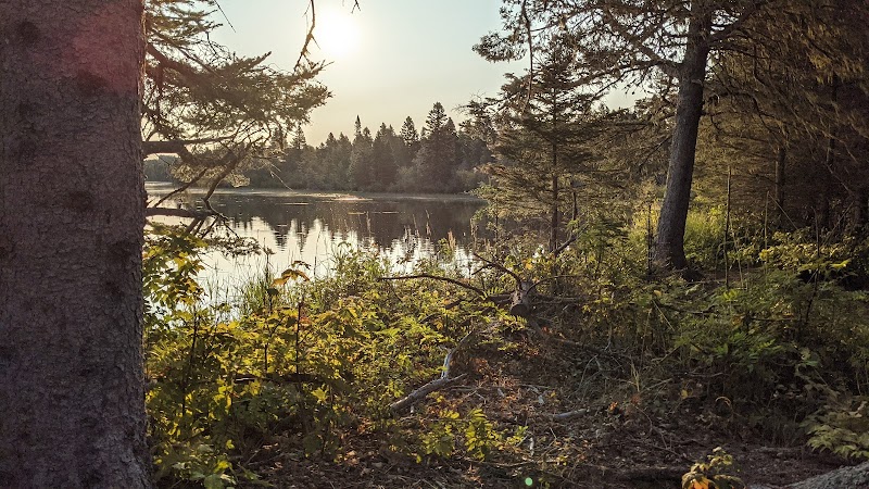 Feldtmann Lake Campground
