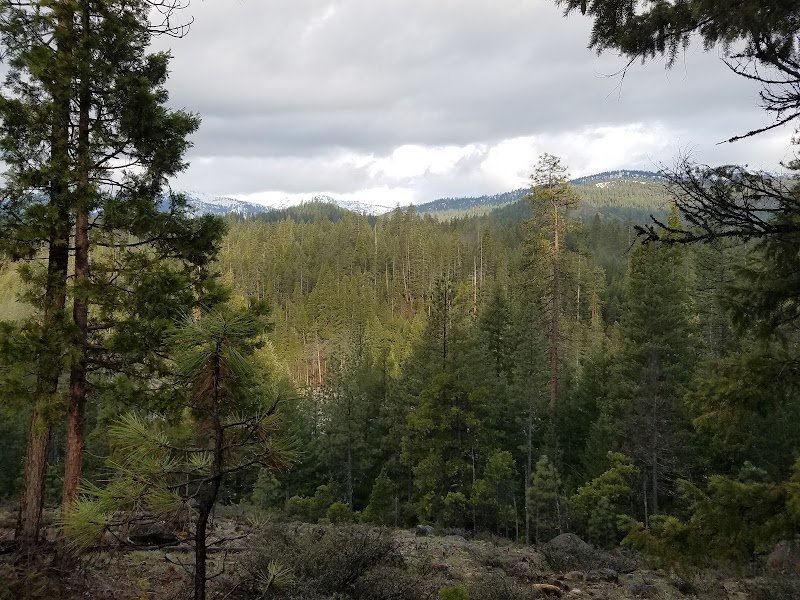 Preacher Meadow (CA)