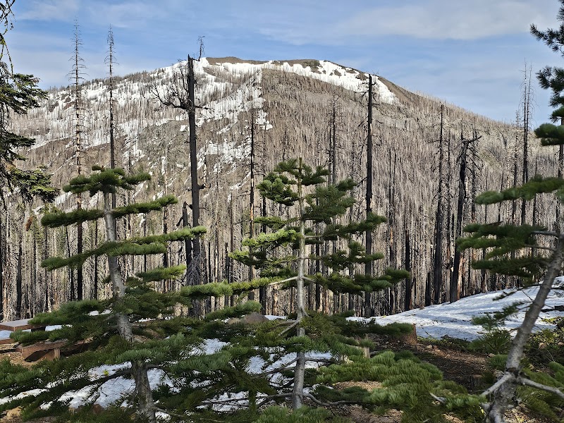 Southwest Campground - Winter/Spring