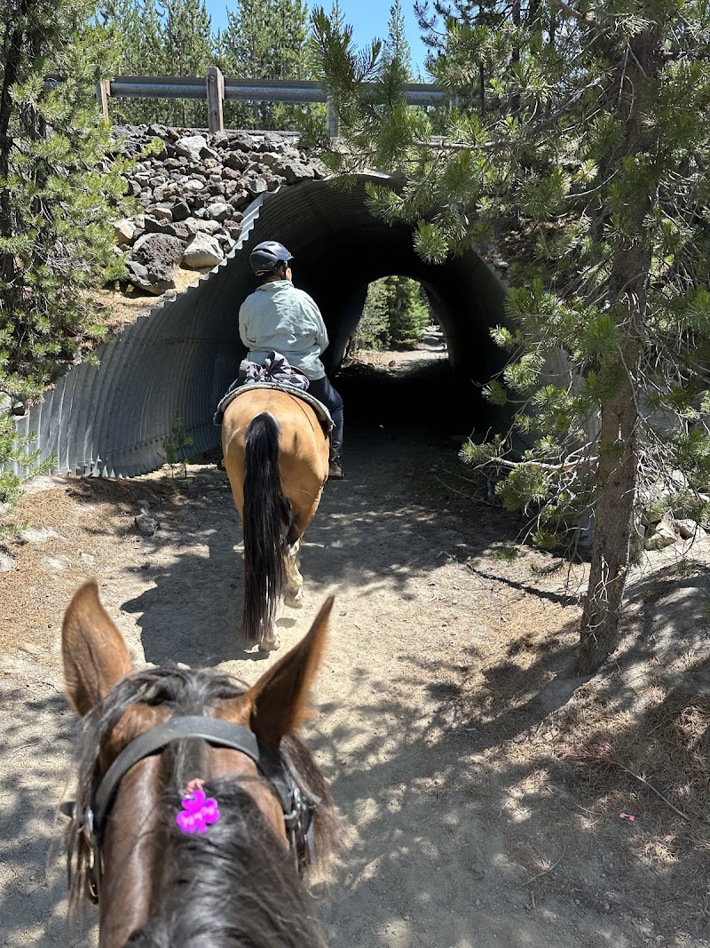 QUINN MEADOW HORSE CAMP