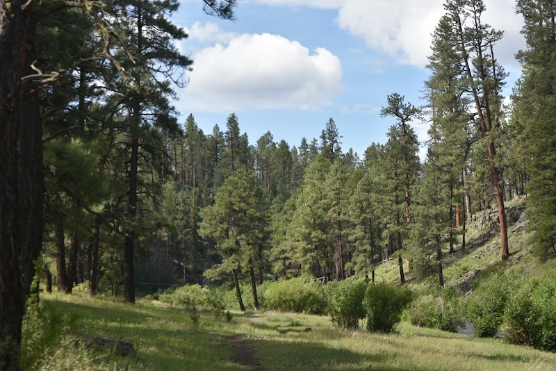 Buffalo Crossing Campground