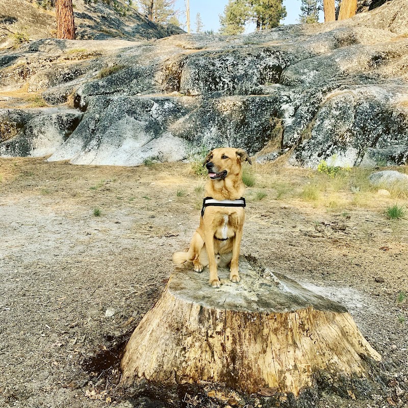 Eureka Valley Campground