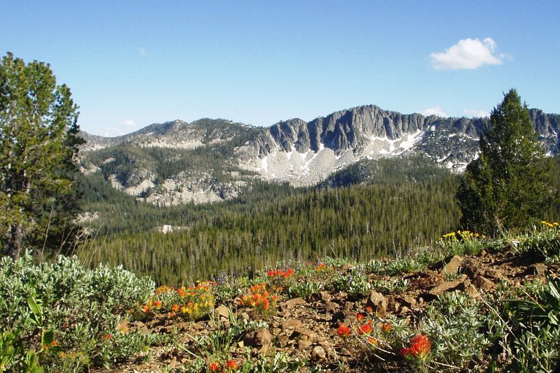 Yellow Pine Campground