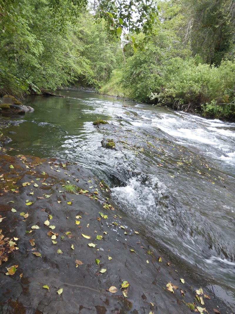 Foster Bar Campground