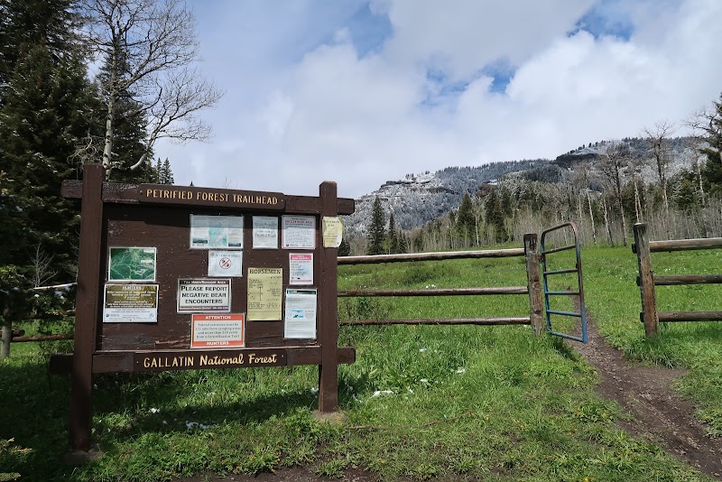 Tom Miner Campground
