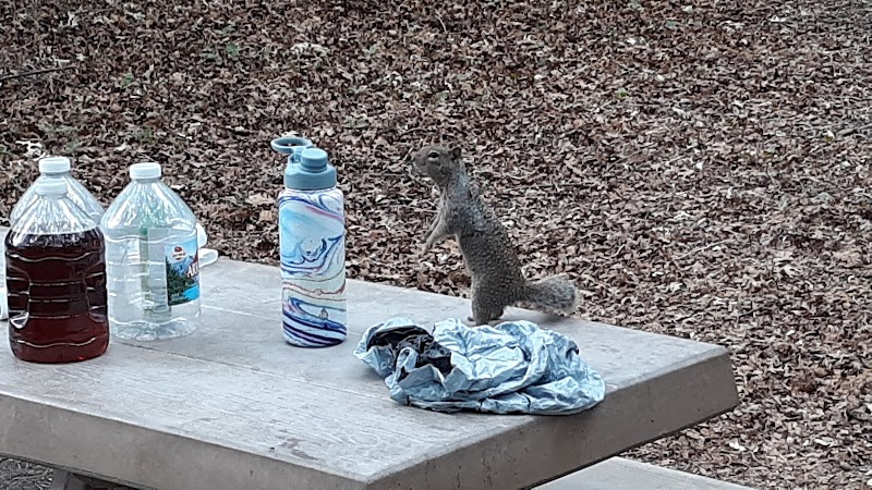 Starr Springs Campground
